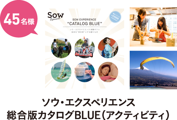 ソウ・エクスペリエンス総合版カタログBLUE（アクティビティ）