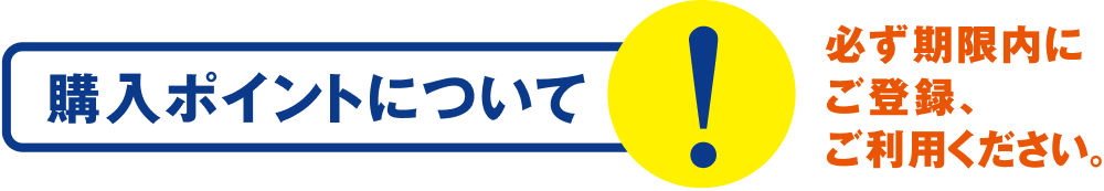 購入ポイントについて